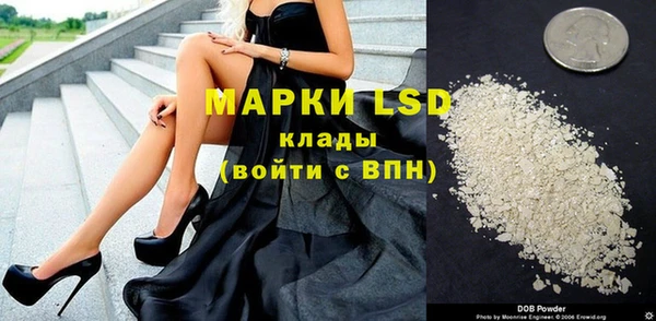 твердый Алзамай