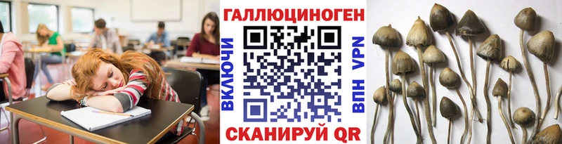Галлюциногенные грибы Cubensis  Нефтекумск 