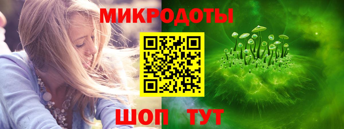 Нефтекумск  Галлюциногенные грибы Psilocybine cubensis  Вход с VPN 