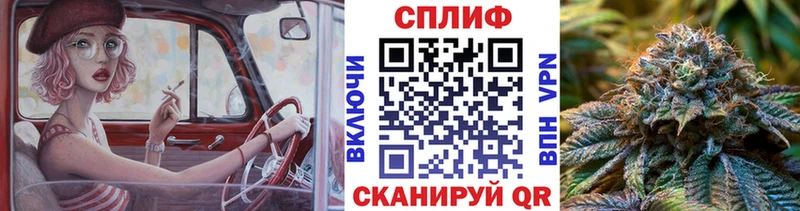 где найти наркотики ссылка на мегу ссылки Бошки Шишки семена Нефтекумск