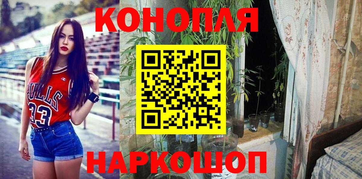 Бошки марихуана гибрид Нефтекумск